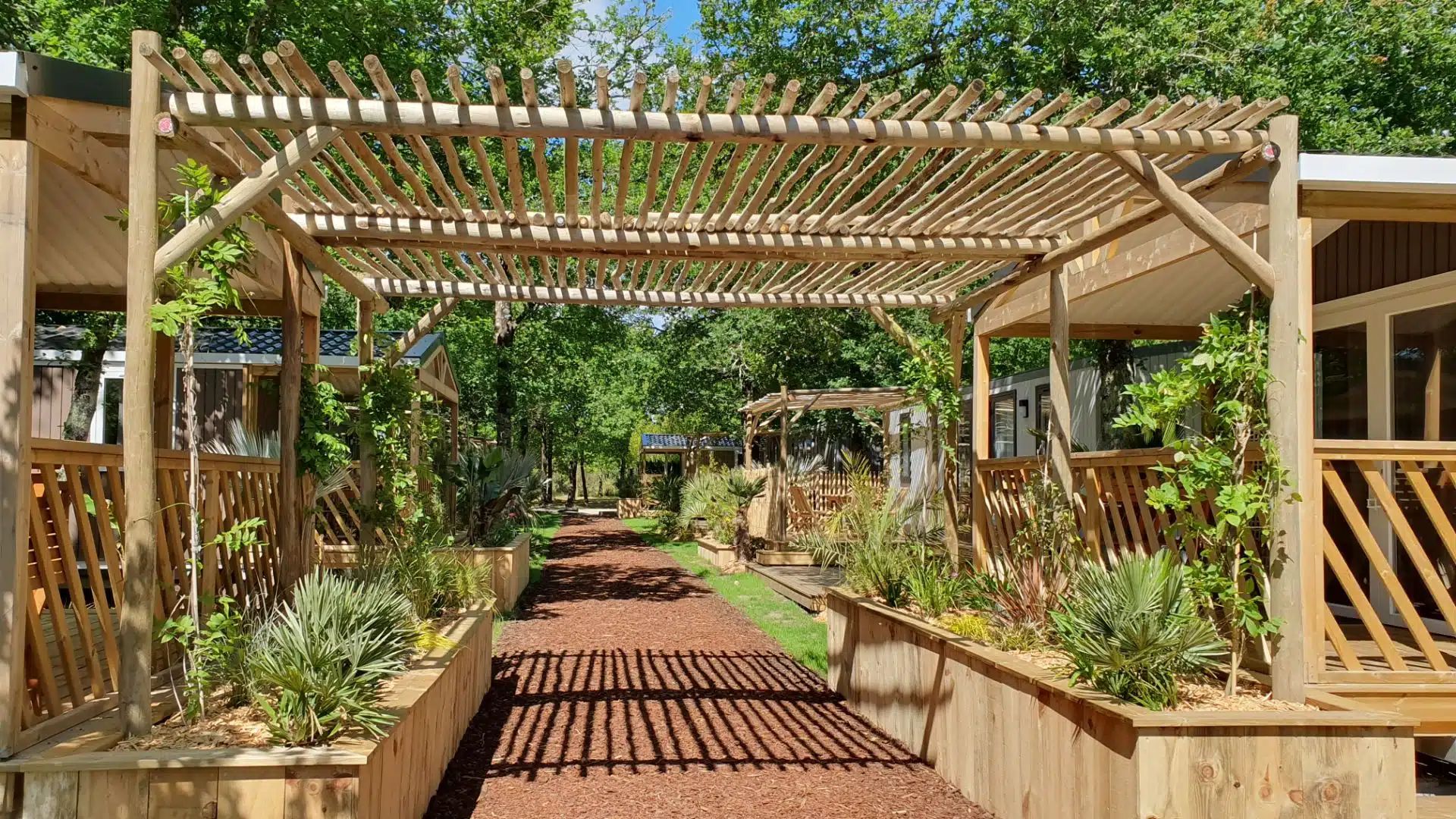 Pergola bois flotte
