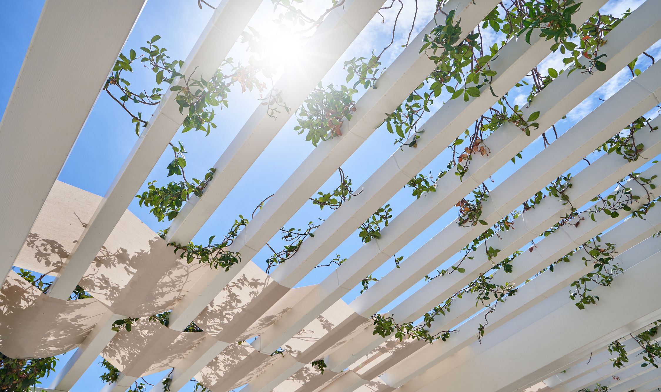 pergola bioclimatique valorisation extérieur