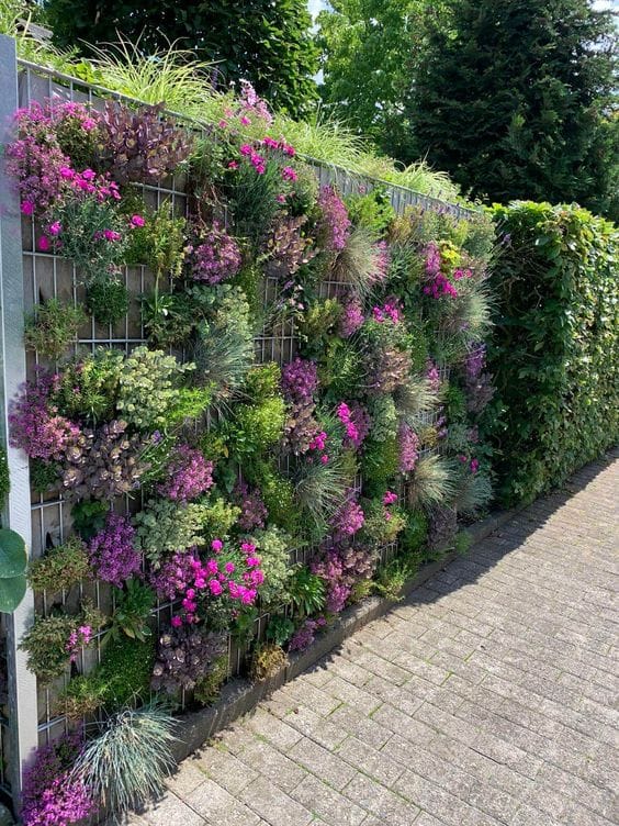 Gabion mur vegetal