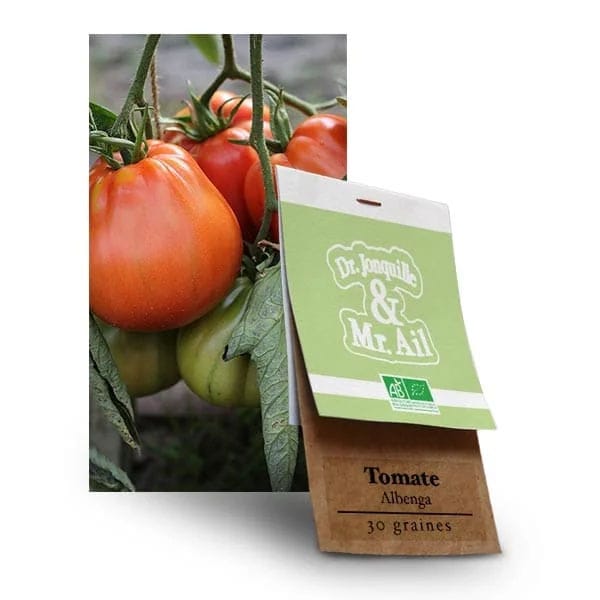 graines de tomates bio