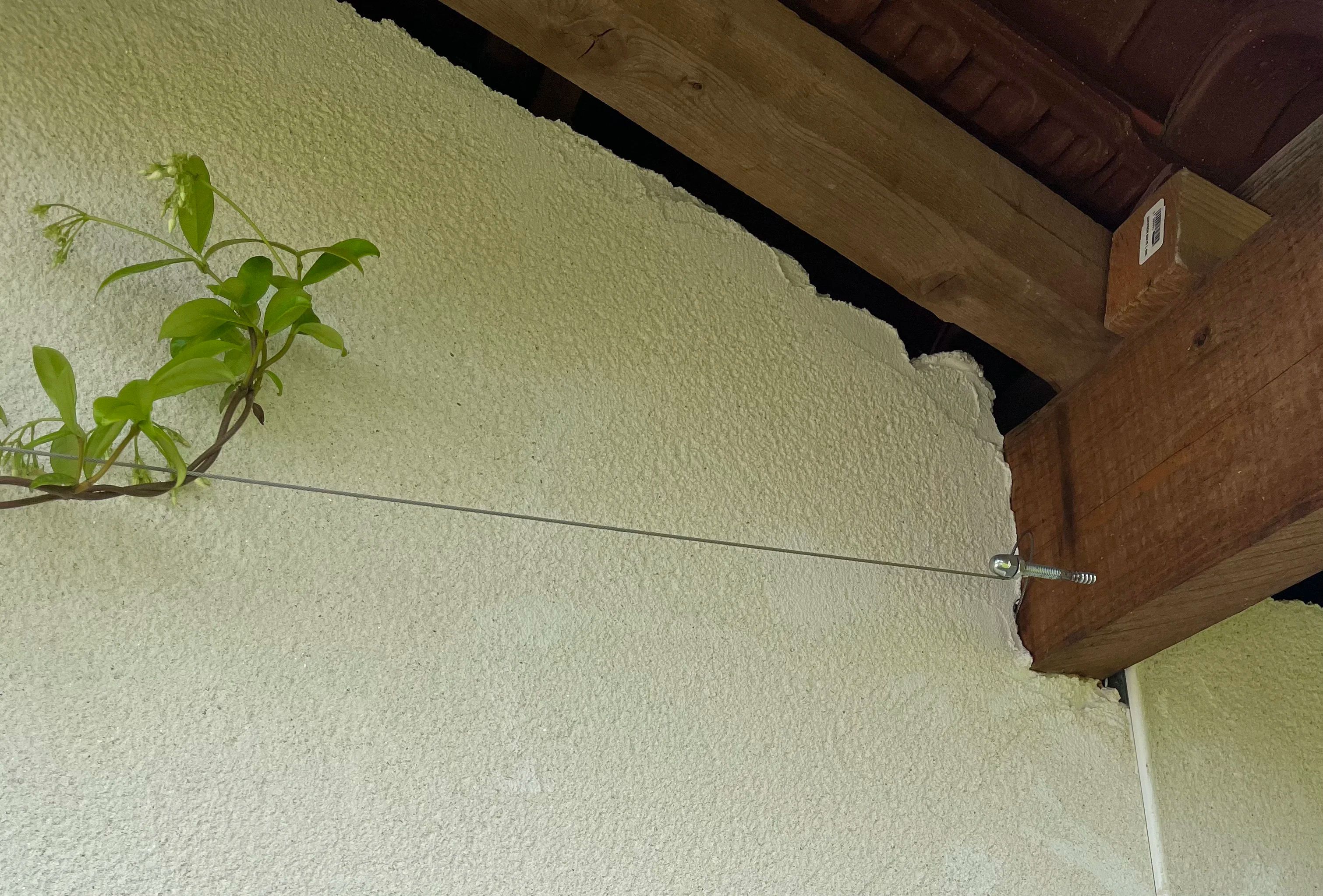 cable support pour plante grimpante
