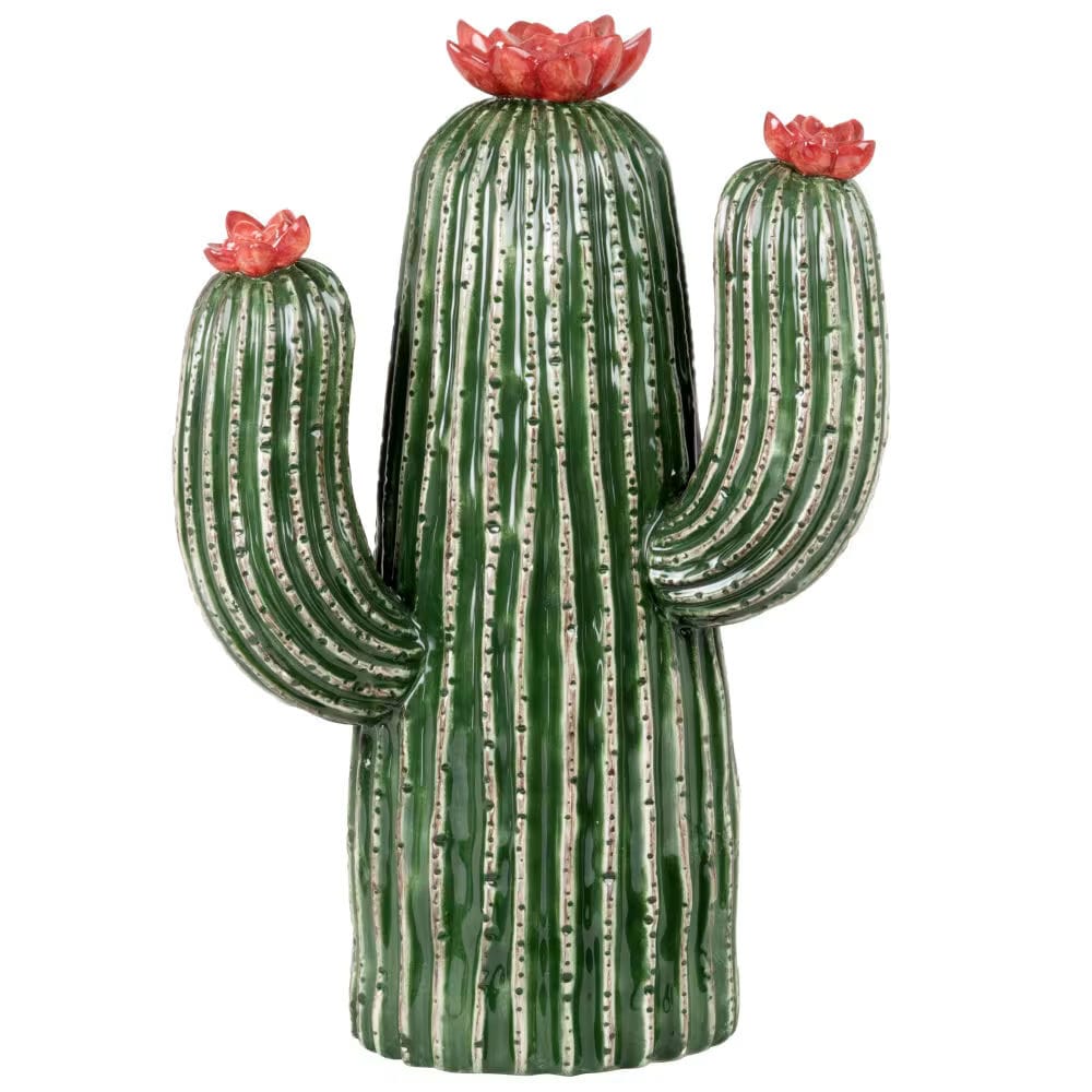 cactus en dolomite