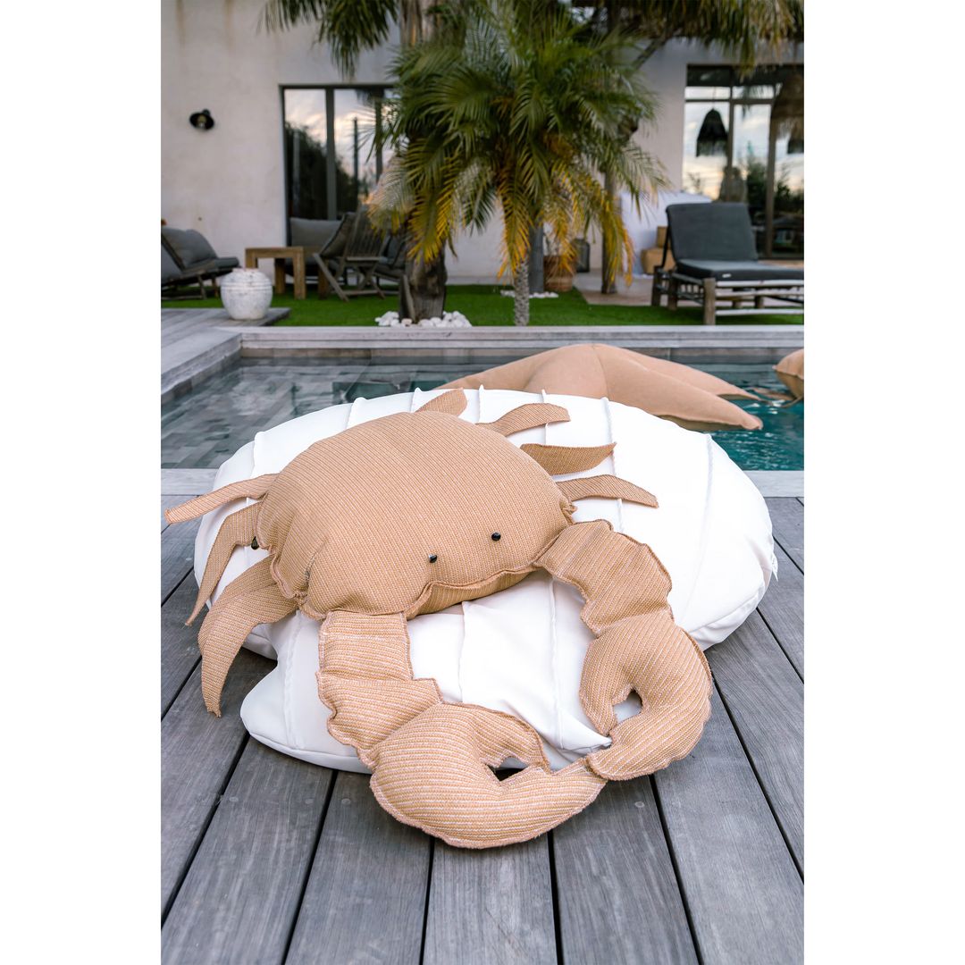 crabe coussin de jardin