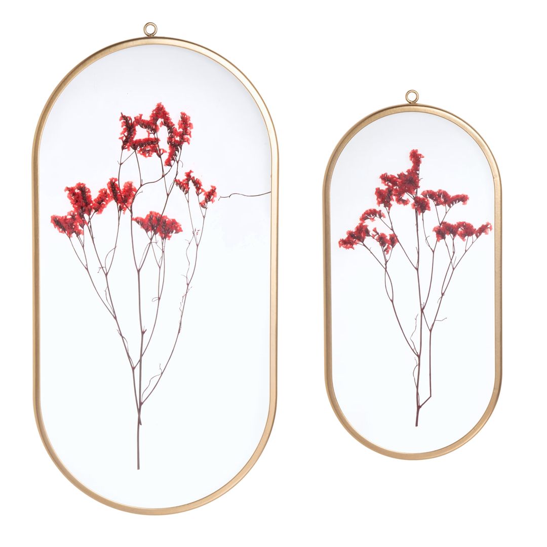 Déco murales fleurs séchées sous verre