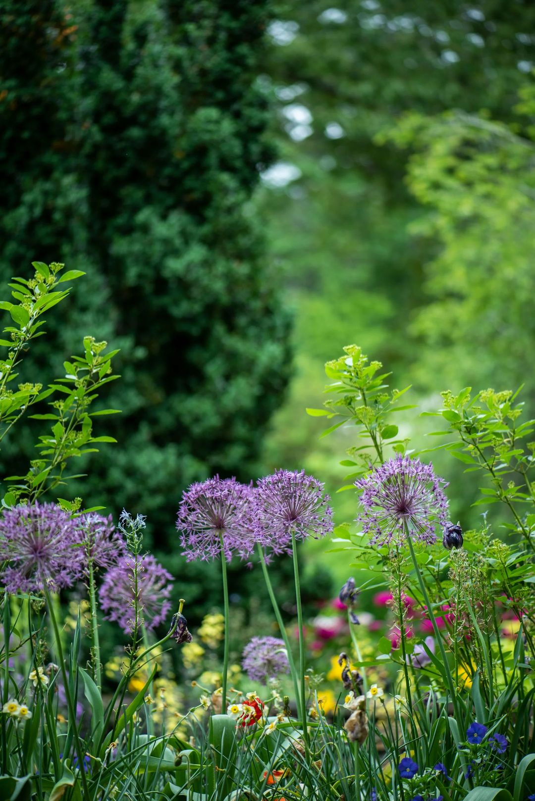entretenir son jardin