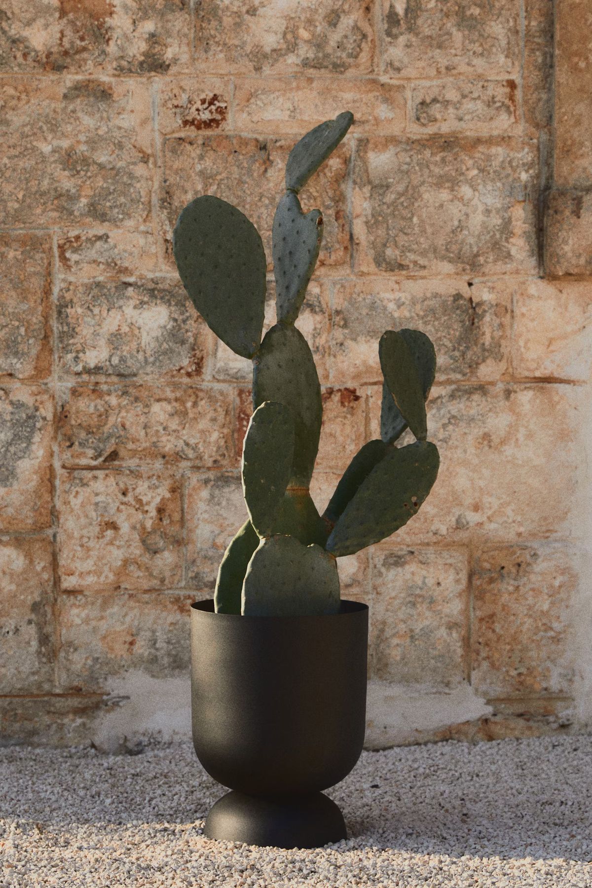 pots devant maison extérieur