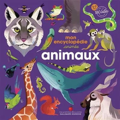 idee cadeaux fille livre