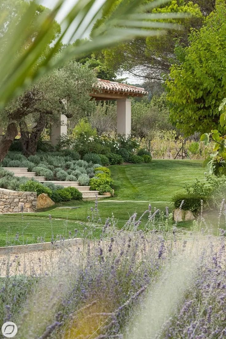 jardin méditérranéenne