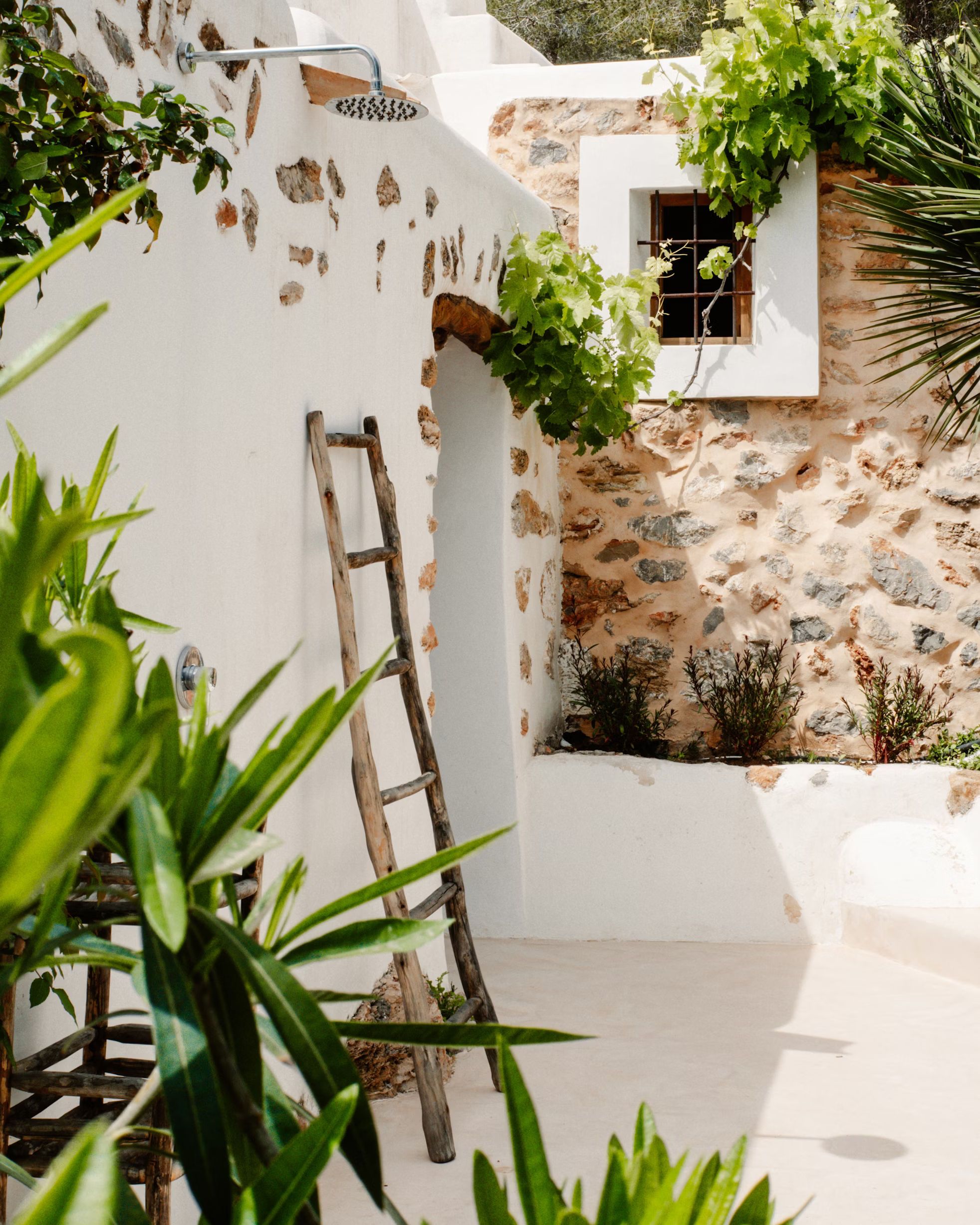 jardin mediteraneen