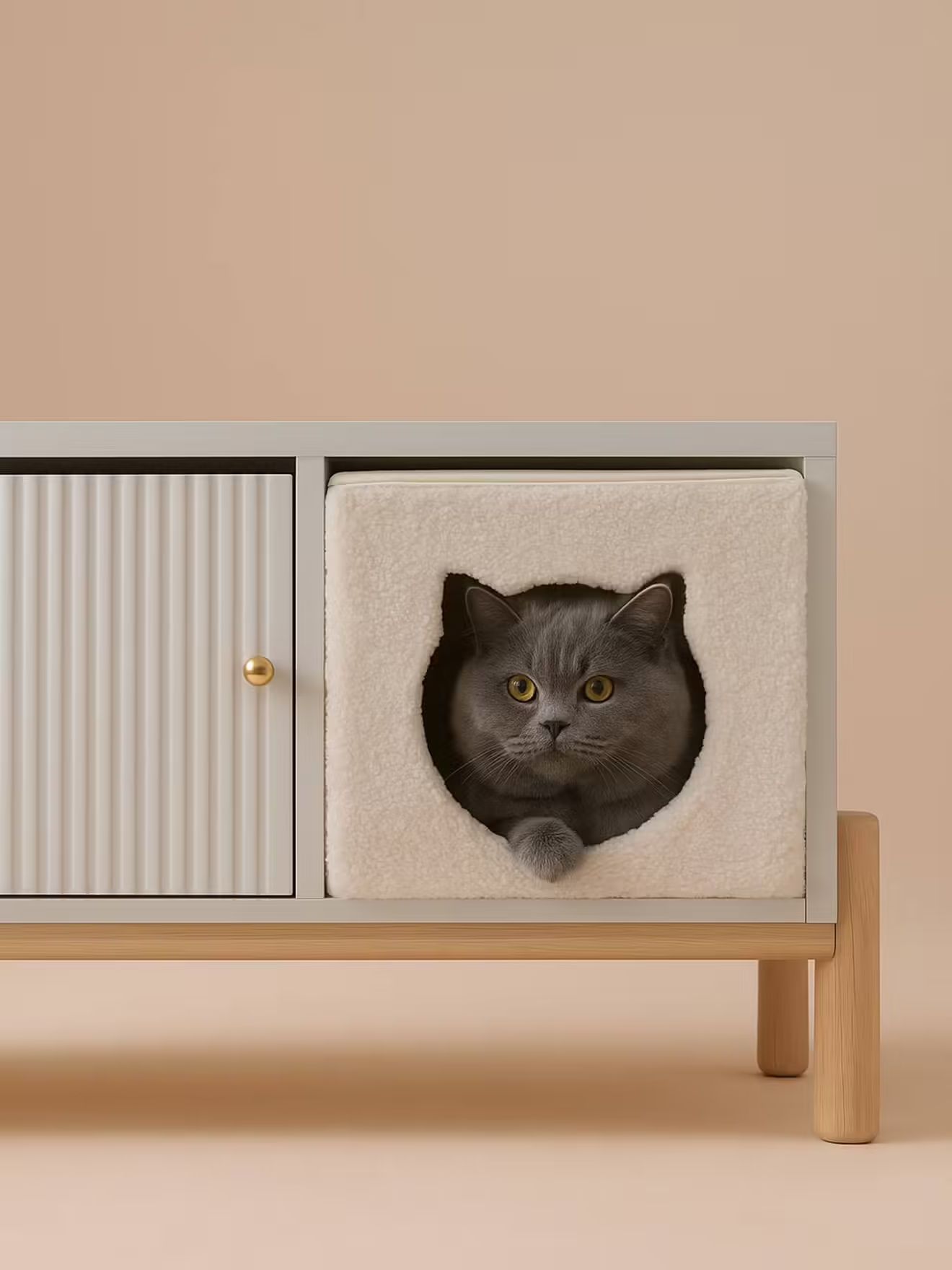 panier à chat