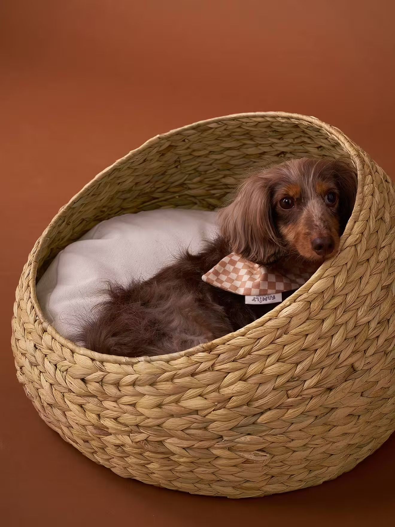 panier ovale pour chat ou chien