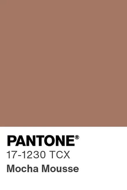 couleur 2025 pantone mocha mouse