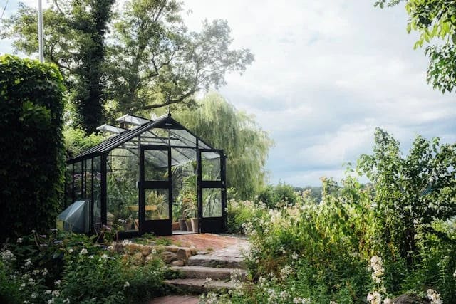 serre de jardin verre