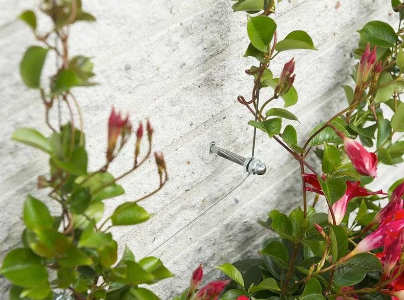 treillis cable facade plante grimpante kit à installer