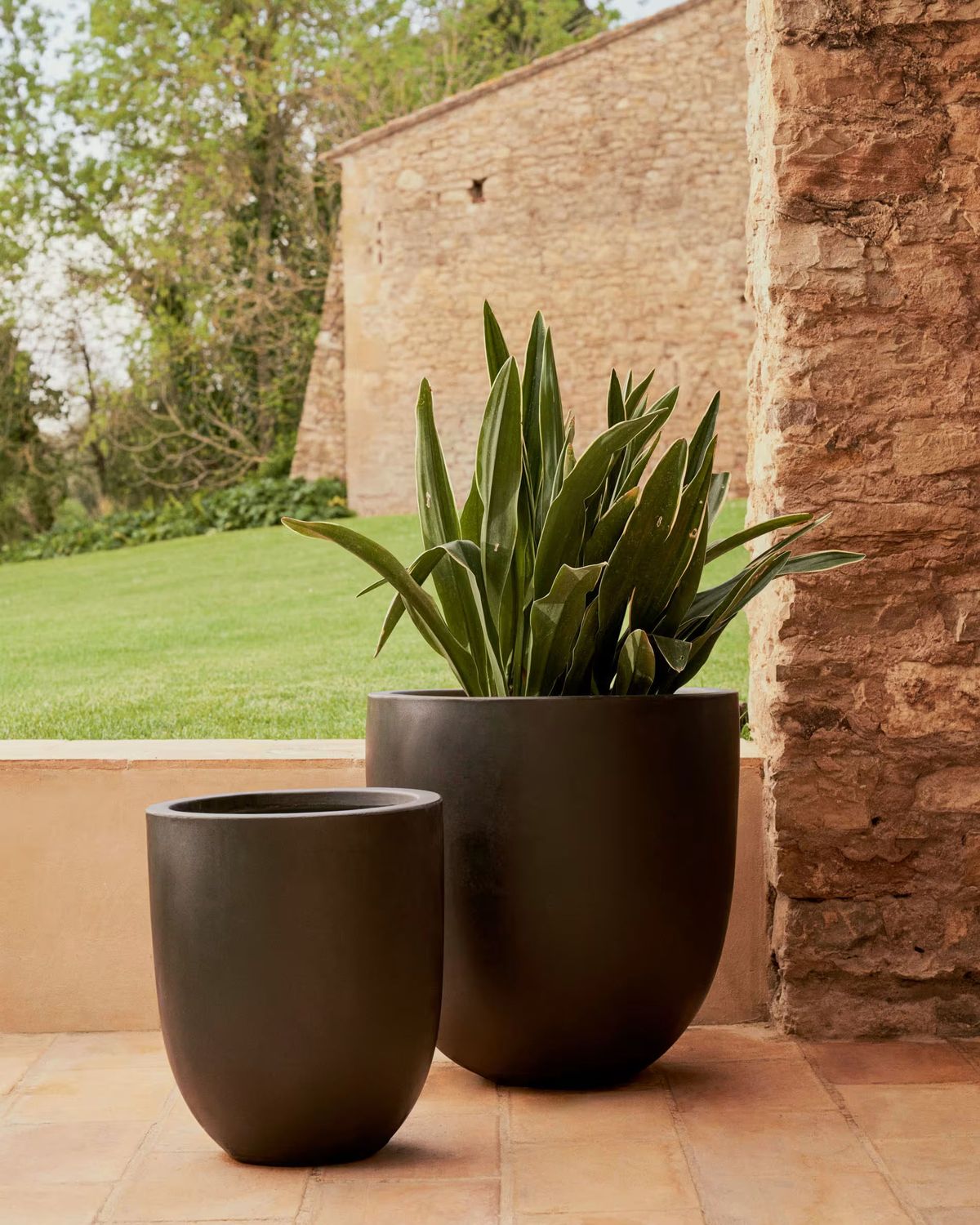 grand pot de fleurs