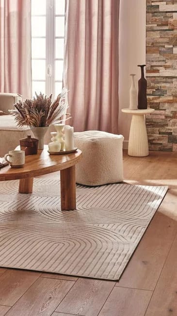tapis salon pas cher