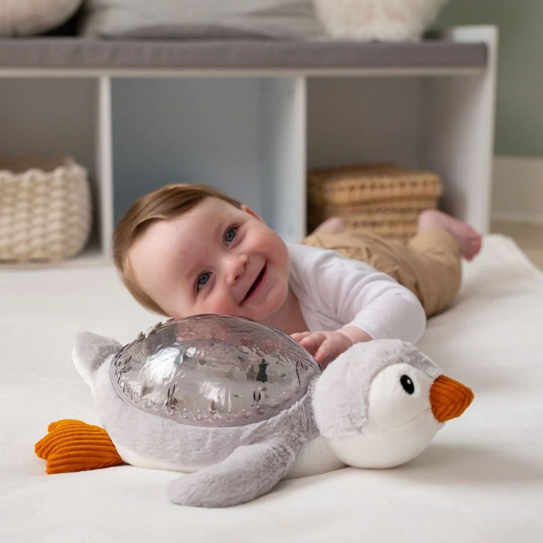 veilleuse pour bébé rechargeable