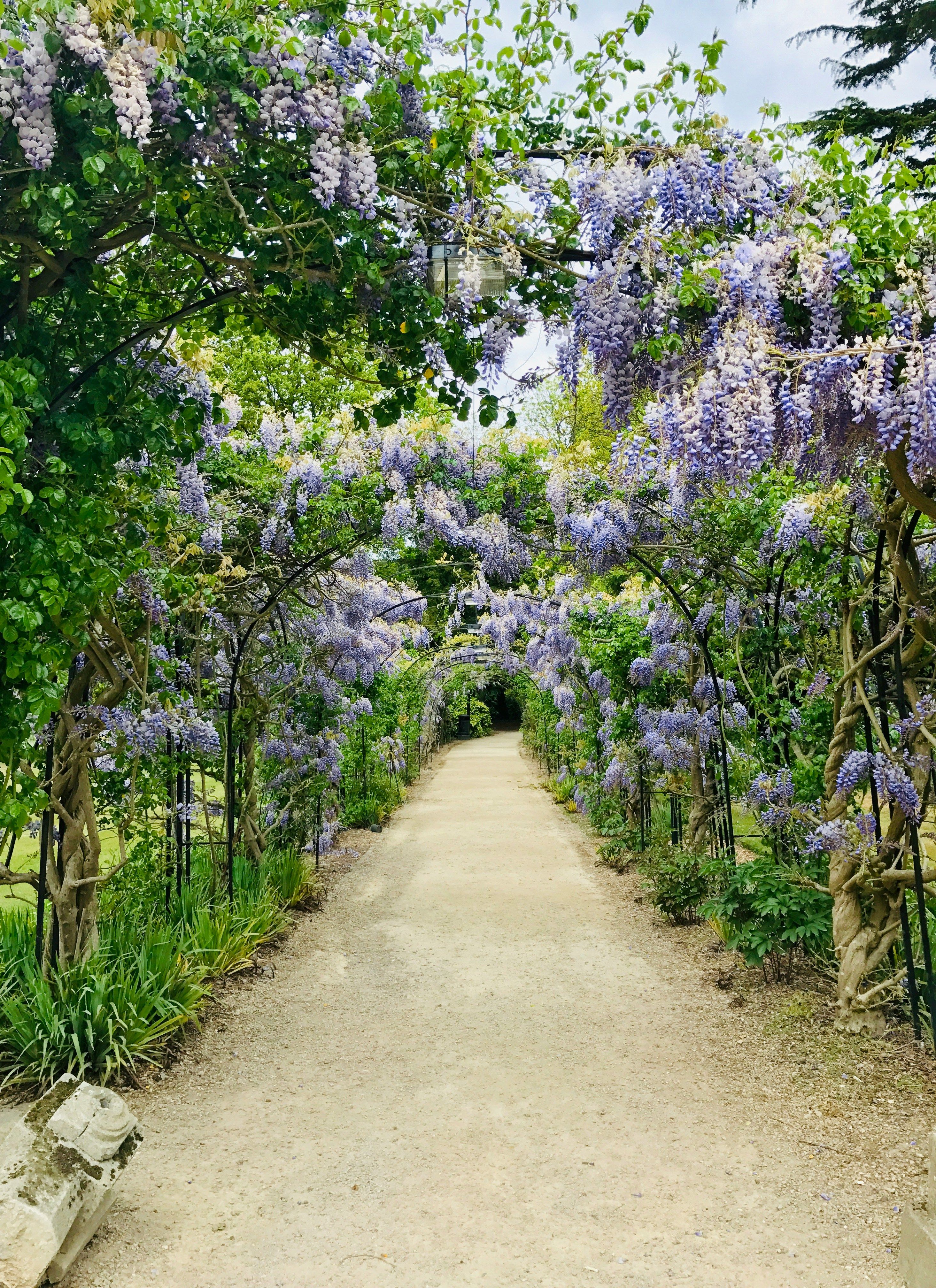 tonnelle de jardin
